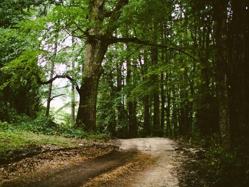 sudoku number placement screenshot 5